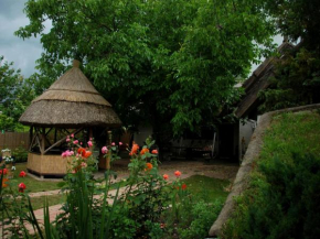 Natura Vendégház